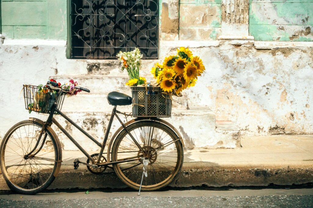 Bicycle Bounty