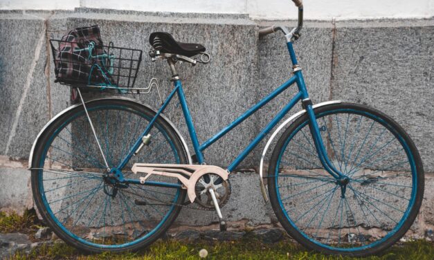 Reviving History: The Rusty Bicycle Restoration Journey