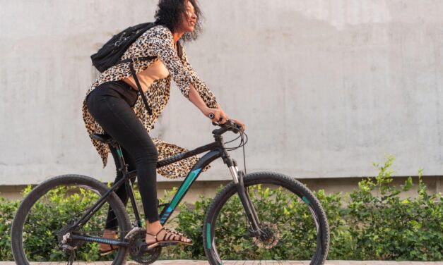 Revolutionary Bicycle 24: A Game-Changer on Wheels